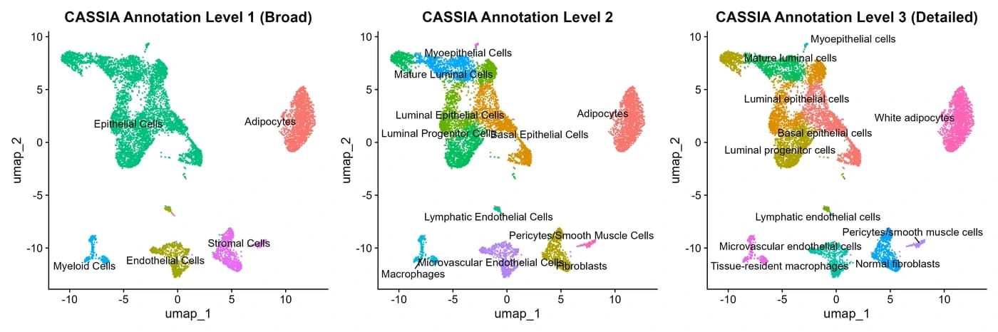 Figure 2: Annotation Results